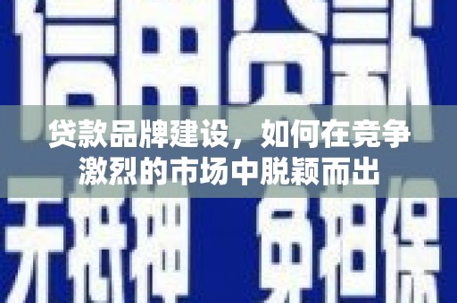 芦淞贷款品牌建设，如何在竞争激烈的市场中脱颖而出