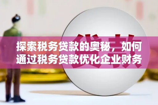 芦淞探索税务贷款的奥秘，如何通过税务贷款优化企业财务