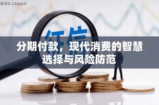芦淞分期付款，现代消费的智慧选择与风险防范