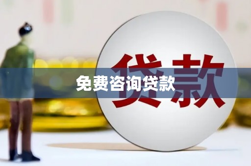 芦淞免费咨询贷款