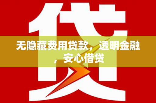 芦淞无隐藏费用贷款，透明金融，安心借贷