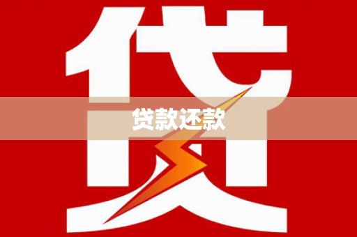 芦淞贷款还款