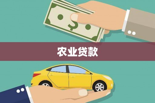 芦淞农业贷款