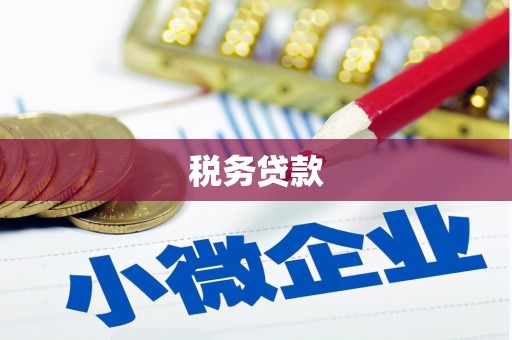 芦淞税务贷款