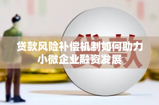 芦淞贷款风险补偿机制如何助力小微企业融资发展