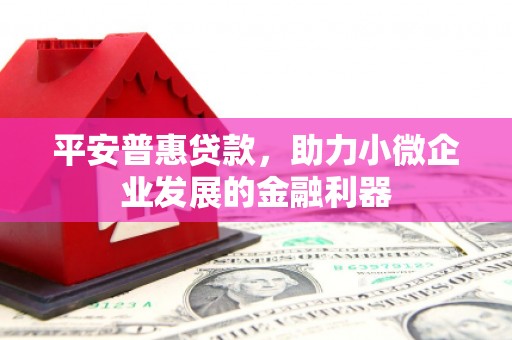 芦淞平安普惠贷款，助力小微企业发展的金融利器