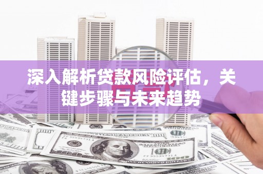芦淞深入解析贷款风险评估，关键步骤与未来趋势