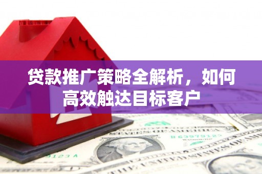 芦淞贷款推广策略全解析，如何高效触达目标客户