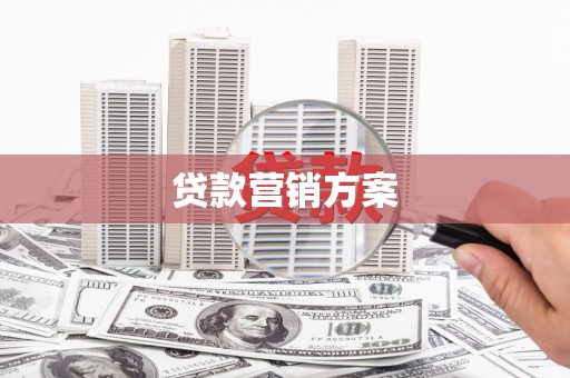 芦淞贷款营销方案