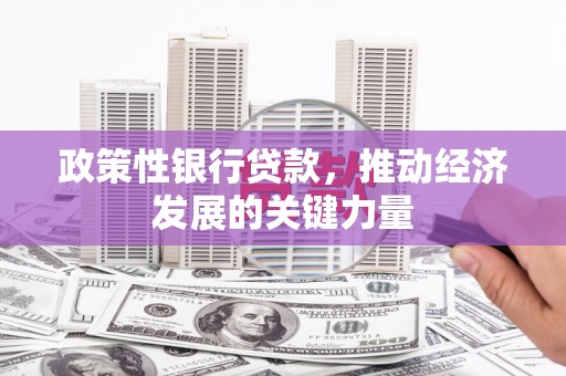 芦淞政策性银行贷款，推动经济发展的关键力量