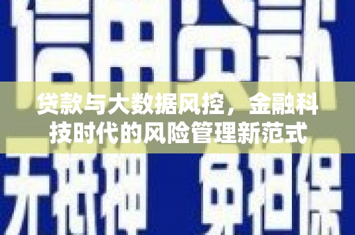 芦淞贷款与大数据风控，金融科技时代的风险管理新范式