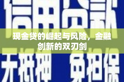 芦淞现金贷的崛起与风险，金融创新的双刃剑