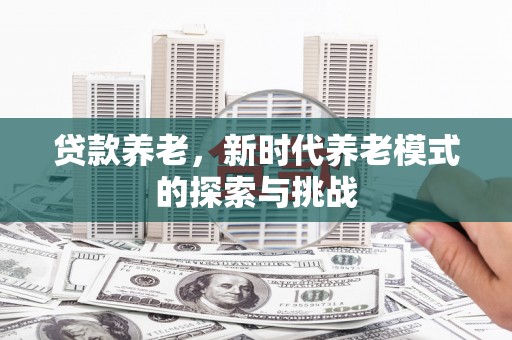 芦淞贷款养老，新时代养老模式的探索与挑战