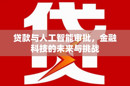 芦淞贷款与人工智能审批，金融科技的未来与挑战