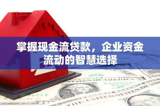 芦淞掌握现金流贷款，企业资金流动的智慧选择
