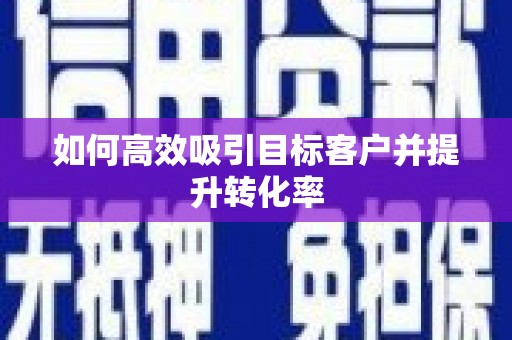 芦淞如何高效吸引目标客户并提升转化率