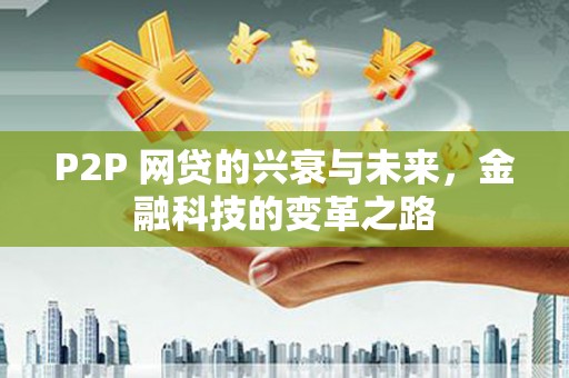 芦淞P2P 网贷的兴衰与未来，金融科技的变革之路