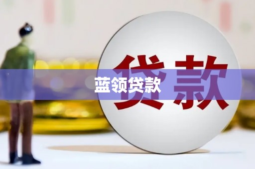 芦淞蓝领贷款