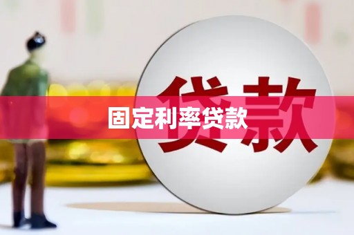芦淞固定利率贷款