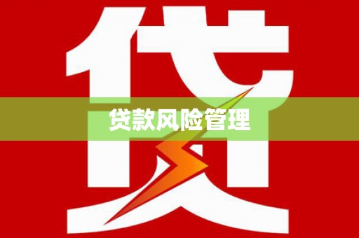 芦淞贷款风险管理