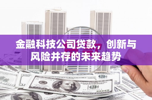 芦淞金融科技公司贷款，创新与风险并存的未来趋势