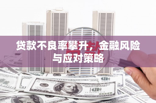 芦淞贷款不良率攀升，金融风险与应对策略
