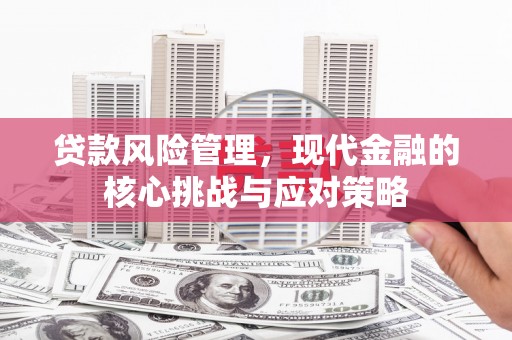 芦淞贷款风险管理，现代金融的核心挑战与应对策略