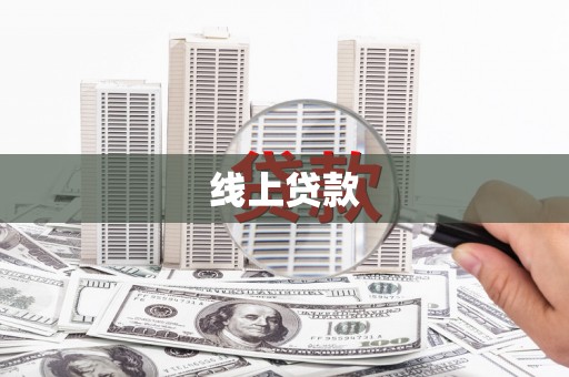 芦淞线上贷款