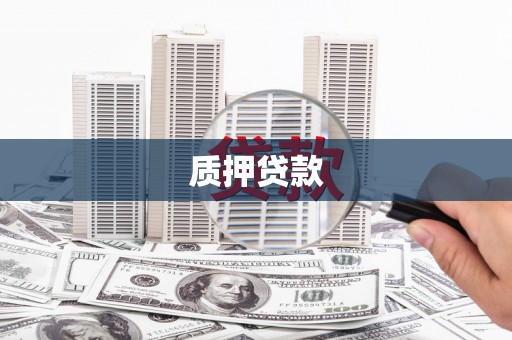 芦淞质押贷款