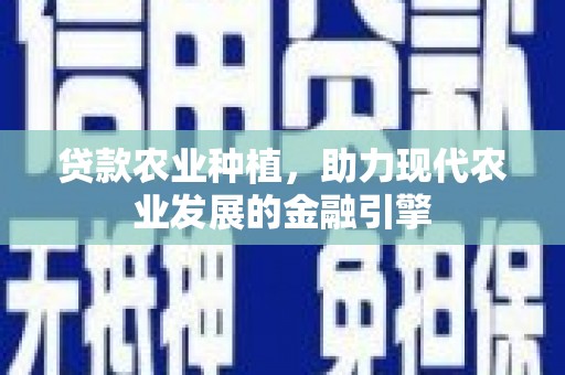 芦淞贷款农业种植，助力现代农业发展的金融引擎