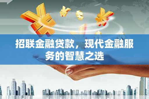 芦淞招联金融贷款，现代金融服务的智慧之选