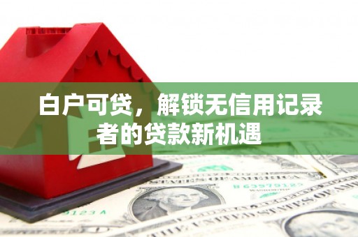 芦淞白户可贷，解锁无信用记录者的贷款新机遇
