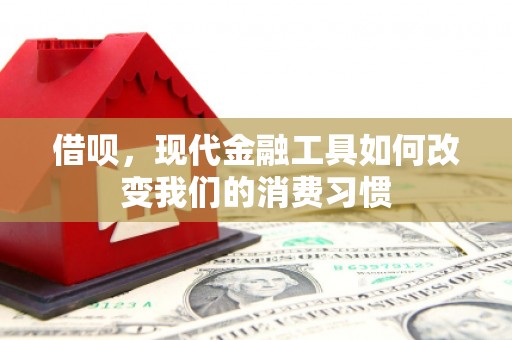 芦淞借呗，现代金融工具如何改变我们的消费习惯