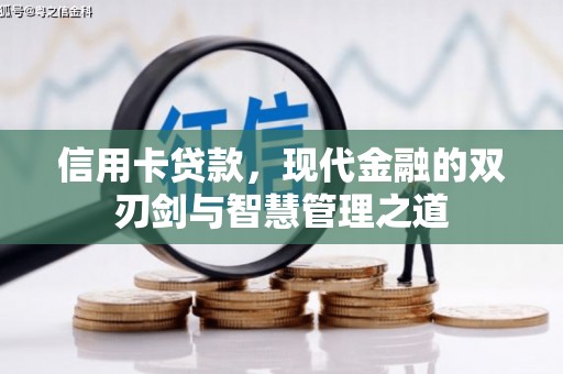 芦淞信用卡贷款，现代金融的双刃剑与智慧管理之道