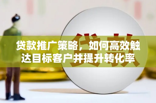 芦淞贷款推广策略，如何高效触达目标客户并提升转化率