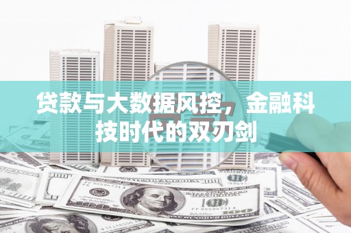 芦淞贷款与大数据风控，金融科技时代的双刃剑