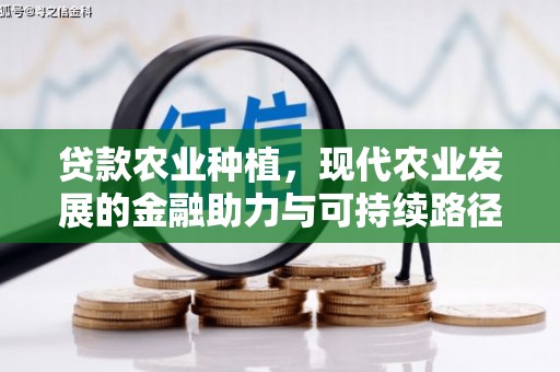 芦淞贷款农业种植，现代农业发展的金融助力与可持续路径