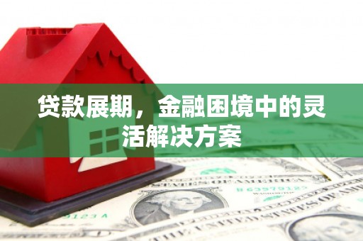 芦淞贷款展期，金融困境中的灵活解决方案