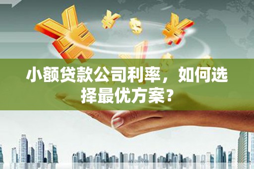 芦淞小额贷款公司利率，如何选择最优方案？