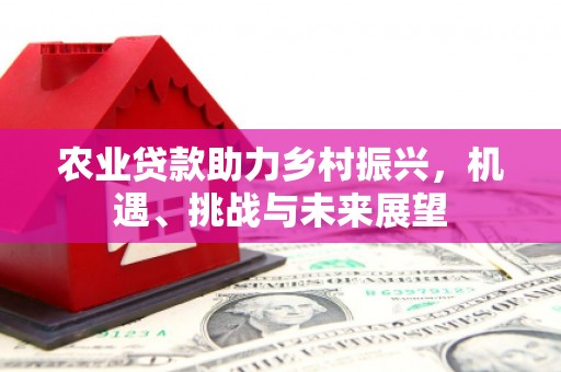 芦淞农业贷款助力乡村振兴，机遇、挑战与未来展望