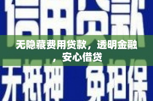 芦淞无隐藏费用贷款，透明金融，安心借贷