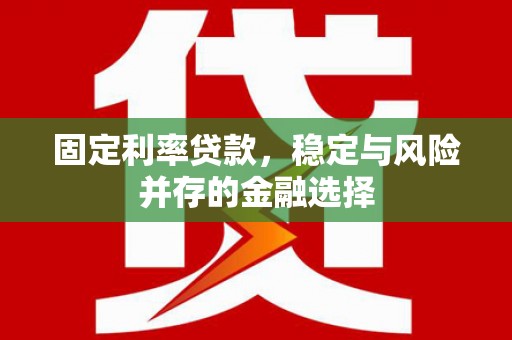 芦淞固定利率贷款，稳定与风险并存的金融选择