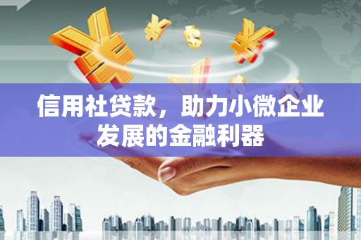 芦淞信用社贷款，助力小微企业发展的金融利器