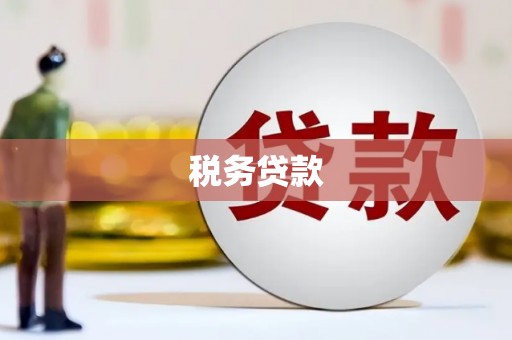 芦淞税务贷款