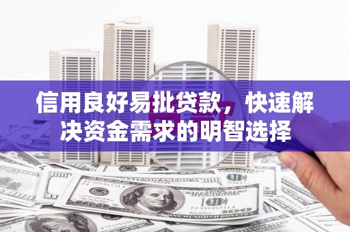 芦淞信用良好易批贷款，快速解决资金需求的明智选择
