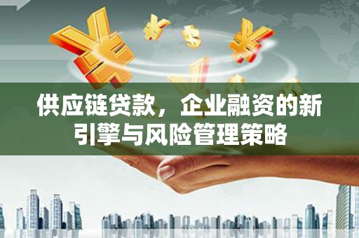 芦淞供应链贷款，企业融资的新引擎与风险管理策略