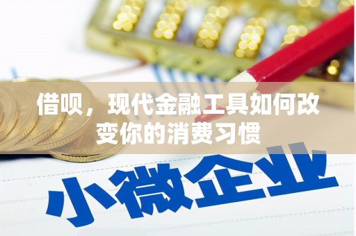 芦淞借呗，现代金融工具如何改变你的消费习惯