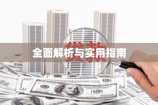 芦淞全面解析与实用指南