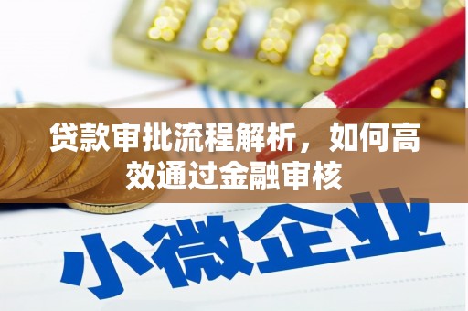 芦淞贷款审批流程解析，如何高效通过金融审核