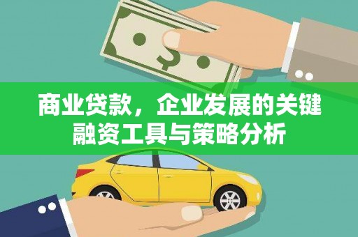 芦淞商业贷款，企业发展的关键融资工具与策略分析